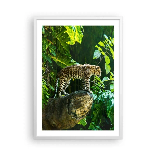 Poster in white frmae - Going Hunting? - 50x70 cm