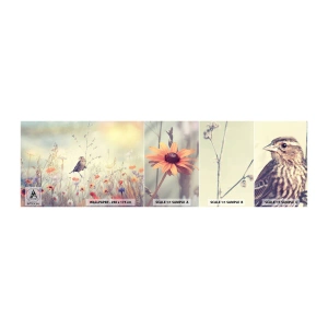 Photo Wallpaper Sample Standard Eco - Bird Portrait with a Meadow in the Background - Bird, Meadow, Nature - 100x30 cm