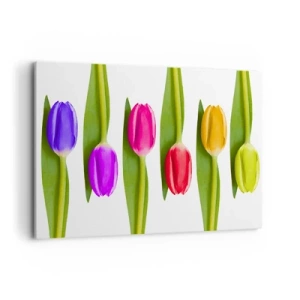 Canvas picture - Rainbow Composition - 120x80 cm