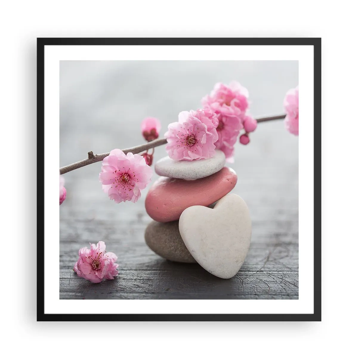 Poster in black frame - Bliss with Cherry Blossom - 60x60 cm