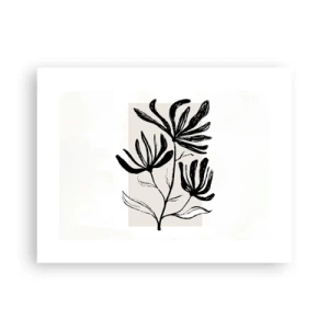 Poster - Sketch for a Herbarium - 40x30 cm