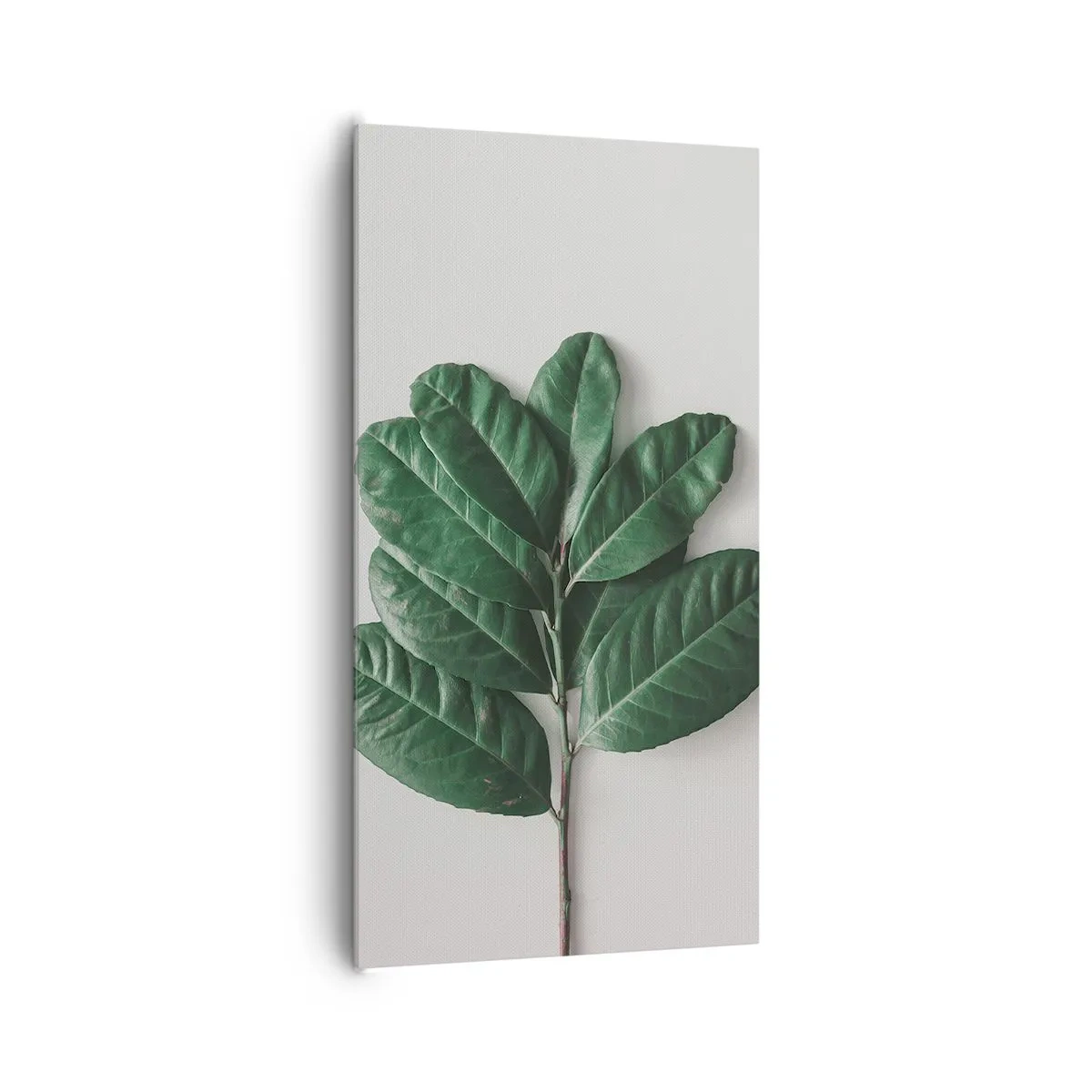 Canvas picture - Drawing of Nature Itself - 65x120 cm