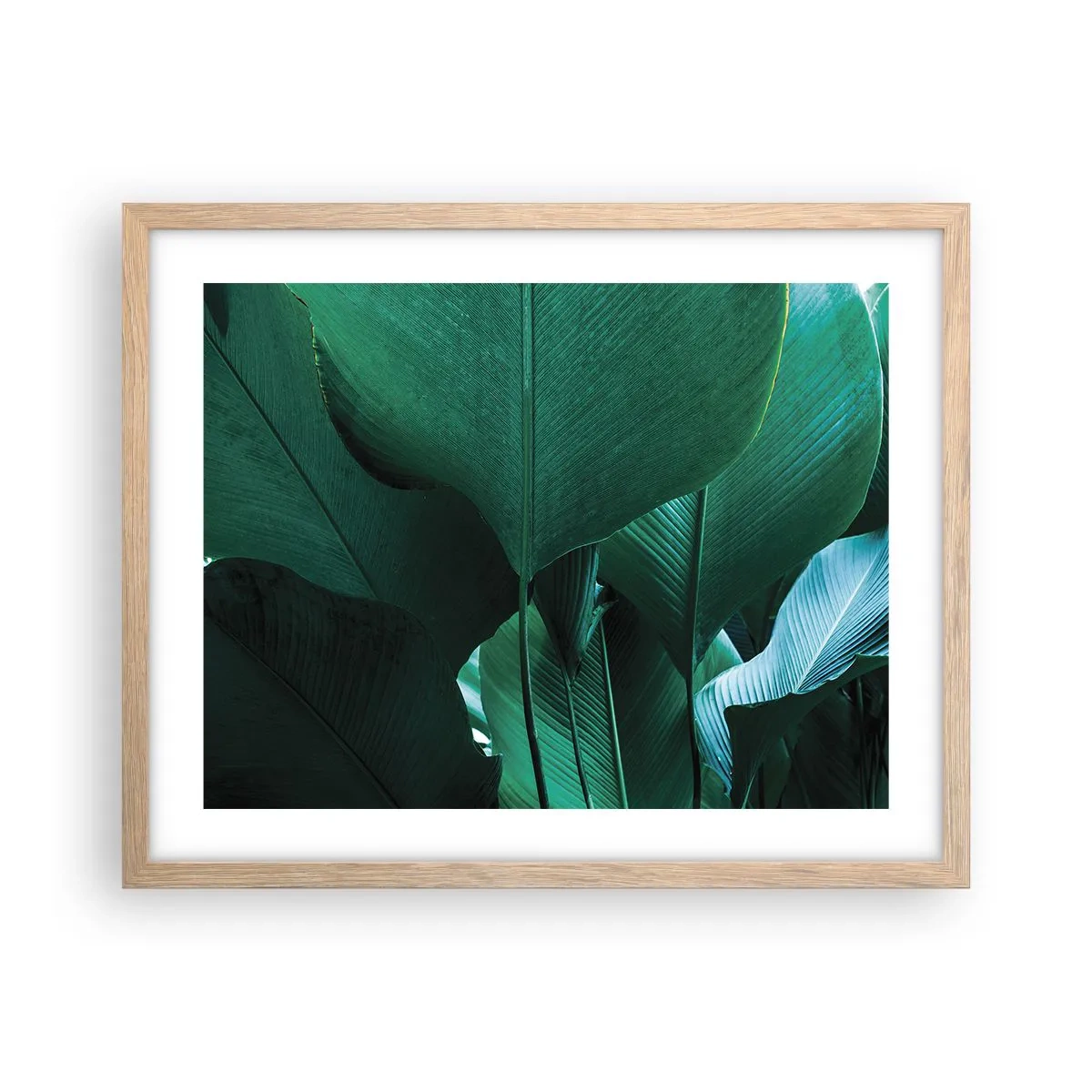 Poster in light oak frame - Turned towards Light - 50x40 cm
