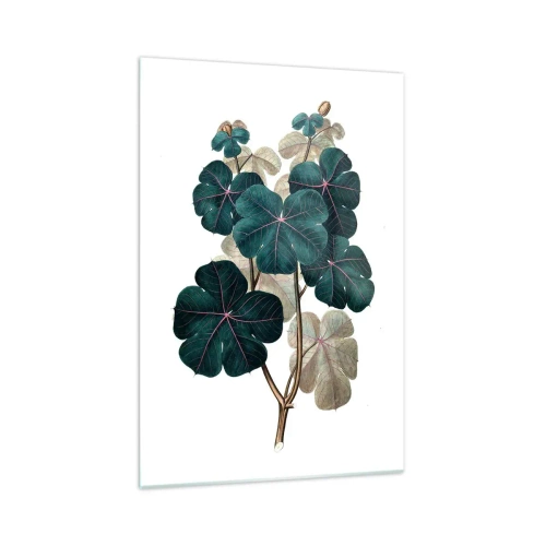 Glass picture - From the Old Herbarium - 70x100 cm