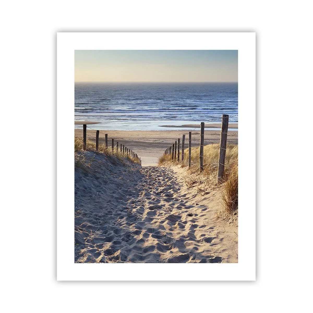 Poster - Sound of the Sea, Singing of the Birds, Wild Beach among Grass - 40x50 cm