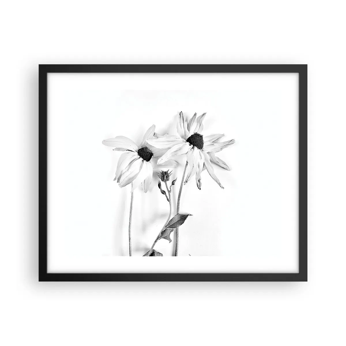 Poster in black frame - No one Wants To Be Alone - 50x40 cm