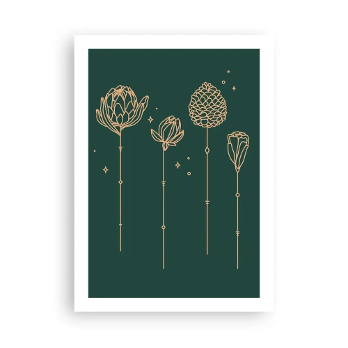 Poster - The Herb Family - 50x70 cm