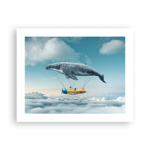 Poster - Why Not? - 50x40 cm