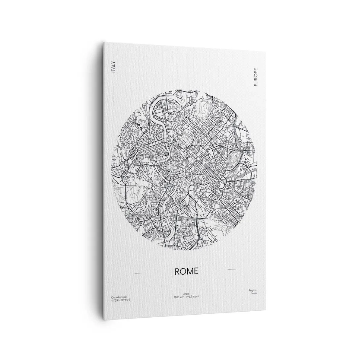 Canvas picture - Anatomy of Rome - 80x120 cm