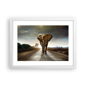 Poster in white frmae - Not in a China Shop - 40x30 cm