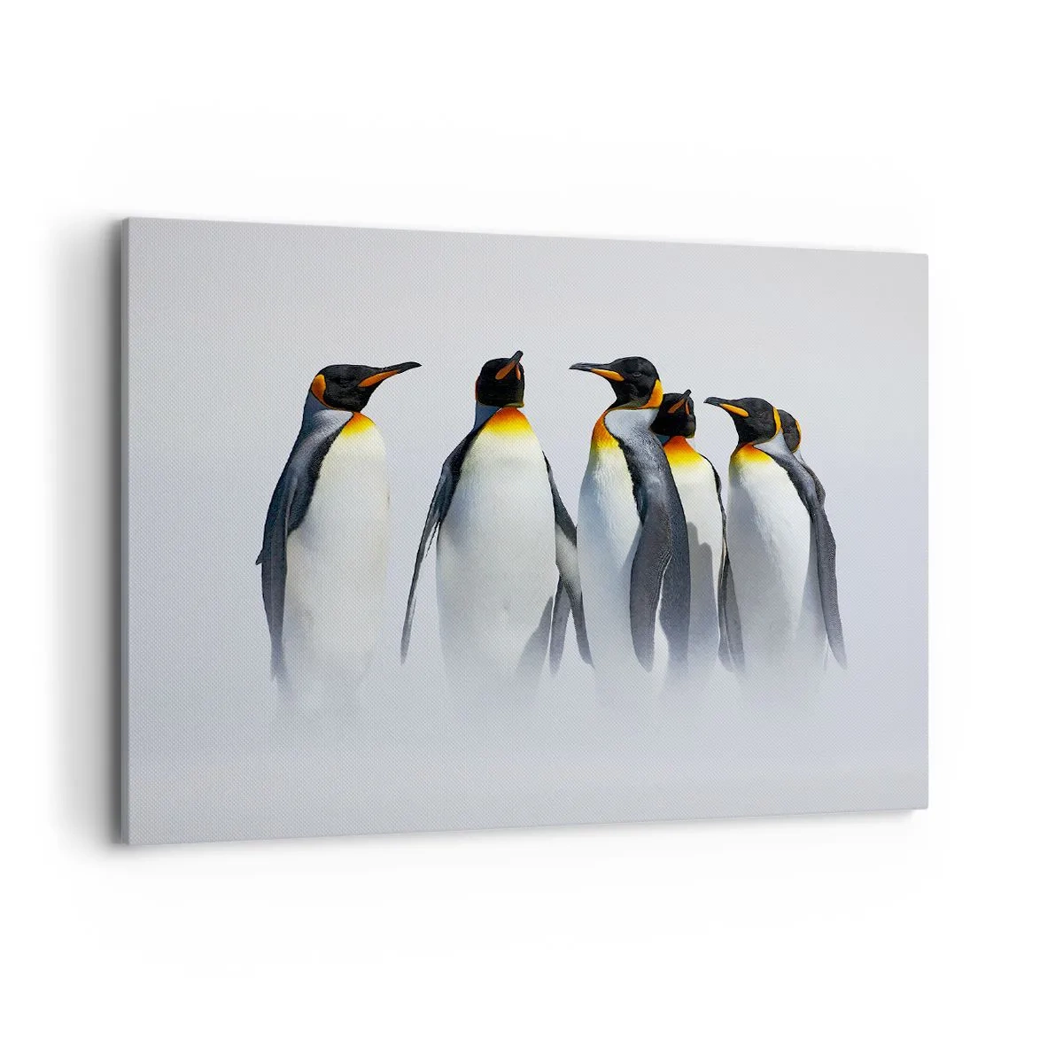Canvas picture - Meeting in Tuxedos - 100x70 cm