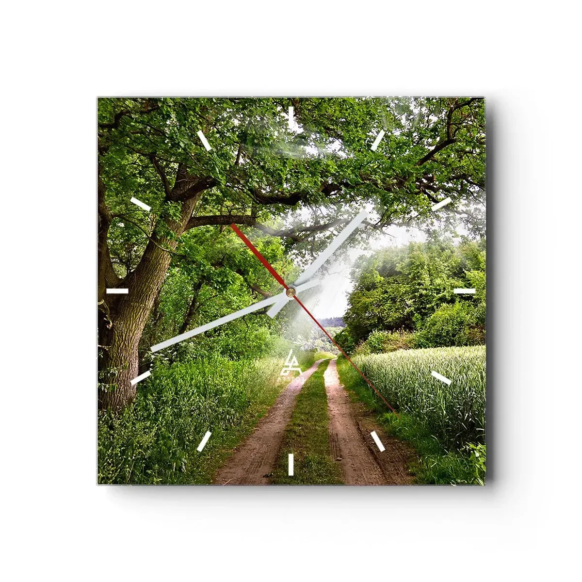 Wall clock - Clock on glass - Et in Arcadia Ego - 30x30 cm