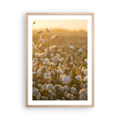 Poster in light oak frame - Fluffy Field - 50x70 cm