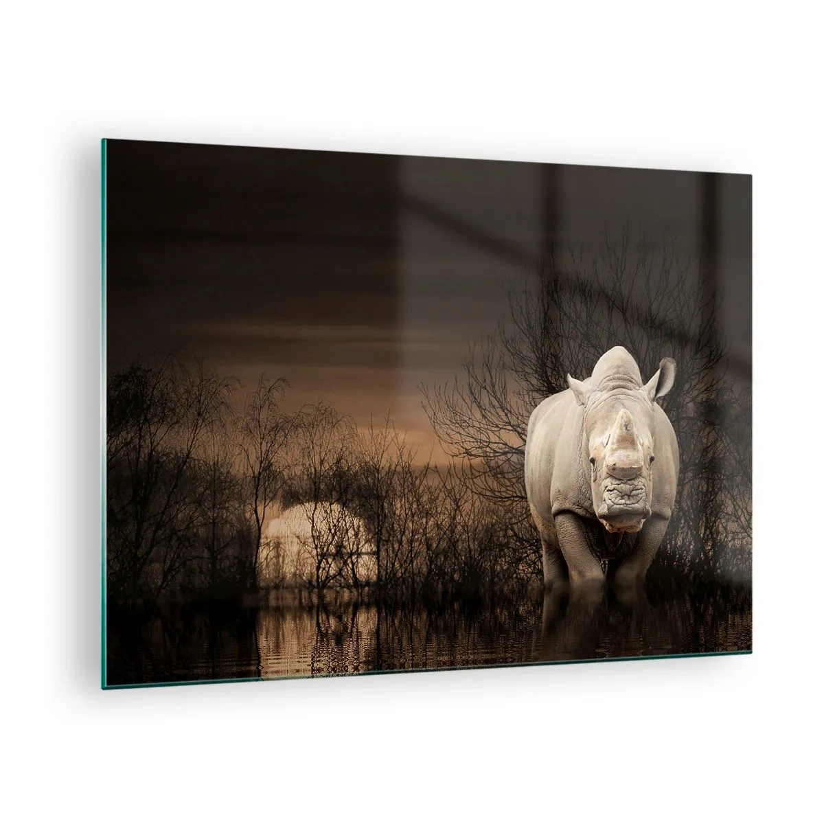 Glass picture - Rhinoceros against the setting sun - 70x50cm - White against Nature - Modern wall decoration for the living room and bedroom ARTTOR