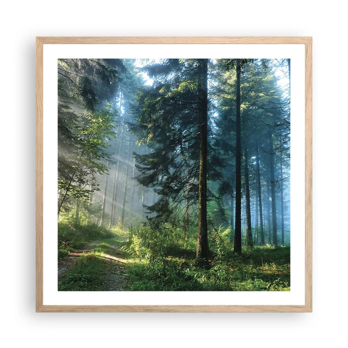 Poster in light oak frame - Radiant at Dawn - 60x60 cm