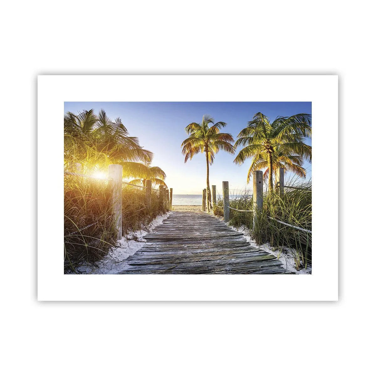 Poster - Straight to Paradise - 40x30 cm