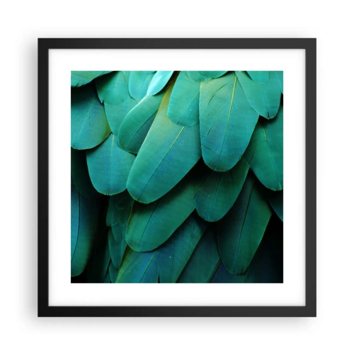 Poster in black frame - Precision of Parrot Nature - 40x40 cm