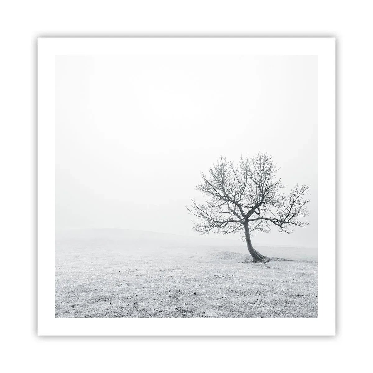 Poster - Against Nothingness - 60x60 cm