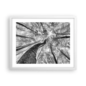 Poster in white frmae - Race for the Light - 50x40 cm