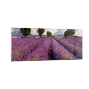Glass picture - Lavender Fields - 100x40 cm