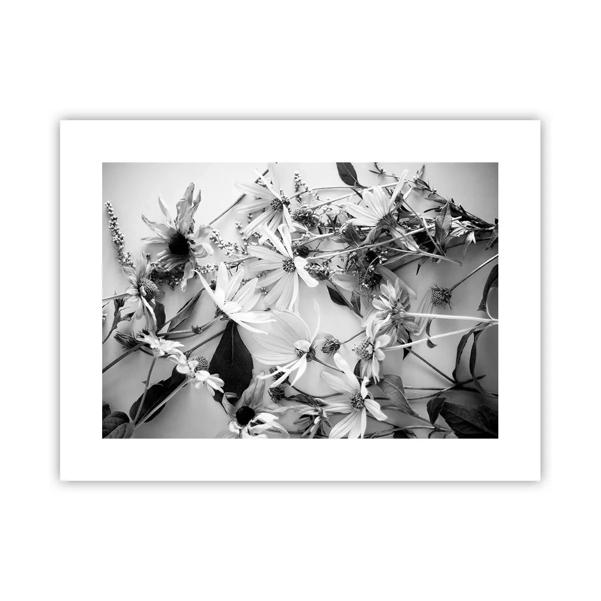 Poster - No-Bouquet of Flowers - 40x30 cm