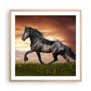Poster in light oak frame - Black Prince - 60x60 cm