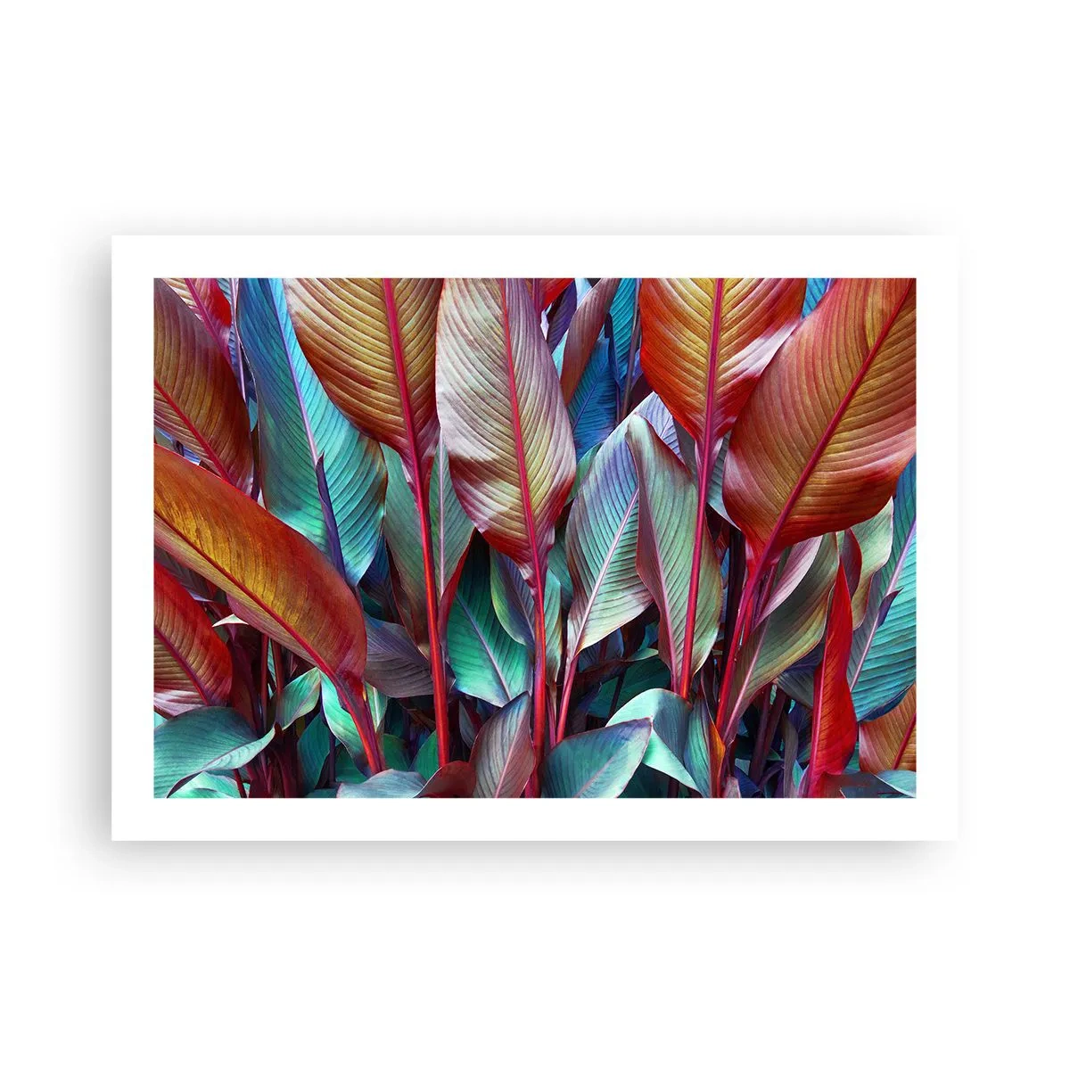 Poster - Colourful Thicket - 70x50 cm
