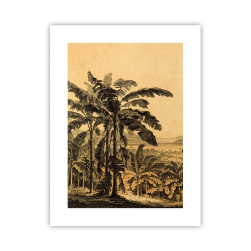 Poster - In Colonial Character - 30x40 cm