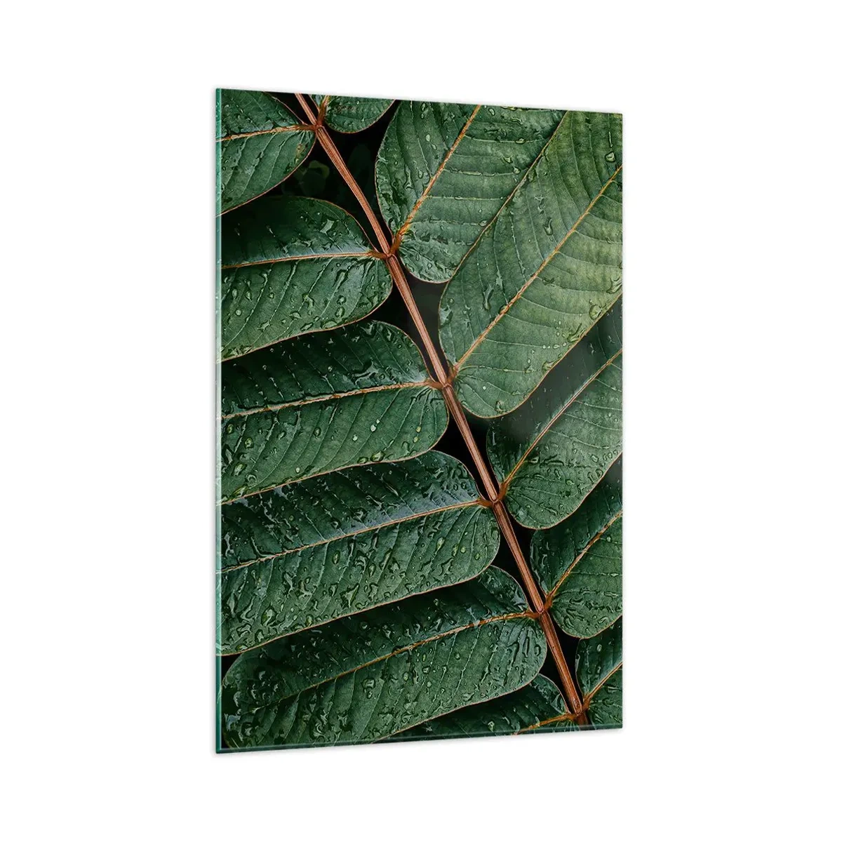 Glass picture - In Green Rhythm - 80x120 cm