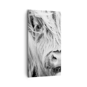 Canvas picture - Scottish Wilderness - 55x100 cm