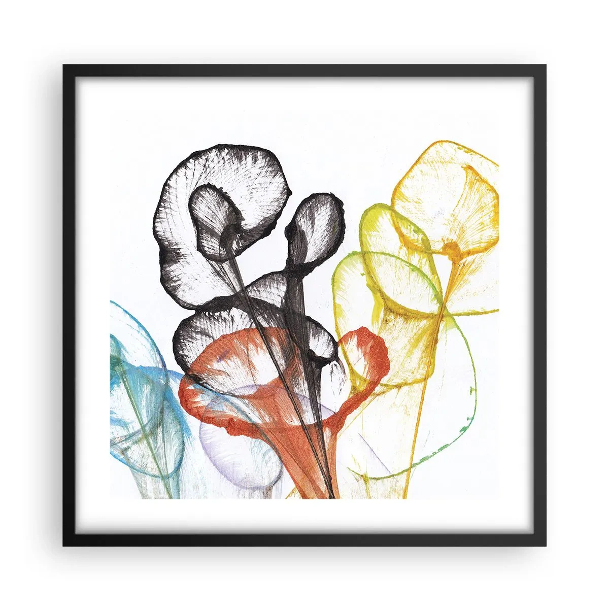 Poster in black frame - Flowers with a Soul - 50x50 cm