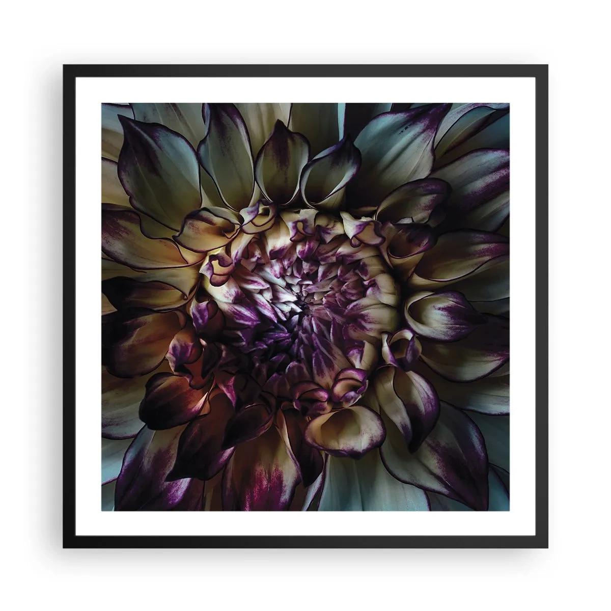 Poster in black frame - The Blossoming of Youth - 60x60 cm