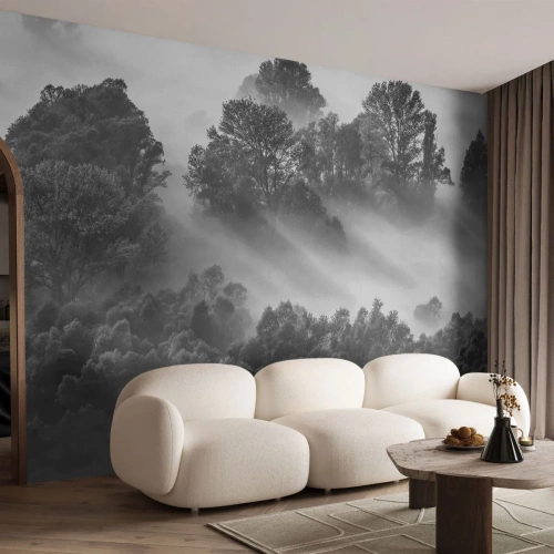 Photo Wallpaper Premium Canvas - Rising from a Sleep - Landscape, Forest, Fog - 400x280 cm