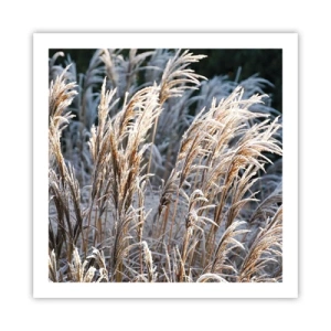 Poster - Decorated with Frost - 60x60 cm