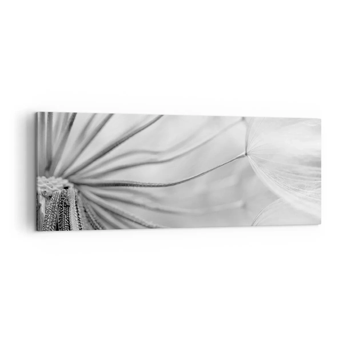 Canvas picture - Dandelion Kites - 140x50 cm