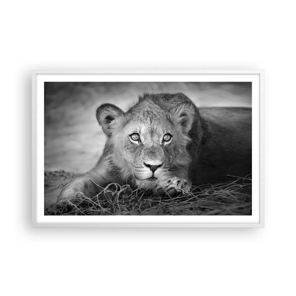 Poster in white frmae - Royal Puppy - 91x61 cm