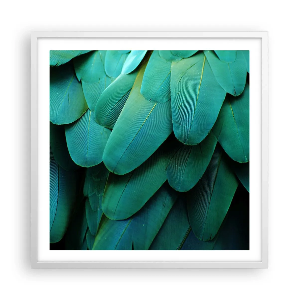 Poster in white frmae - Precision of Parrot Nature - 60x60 cm