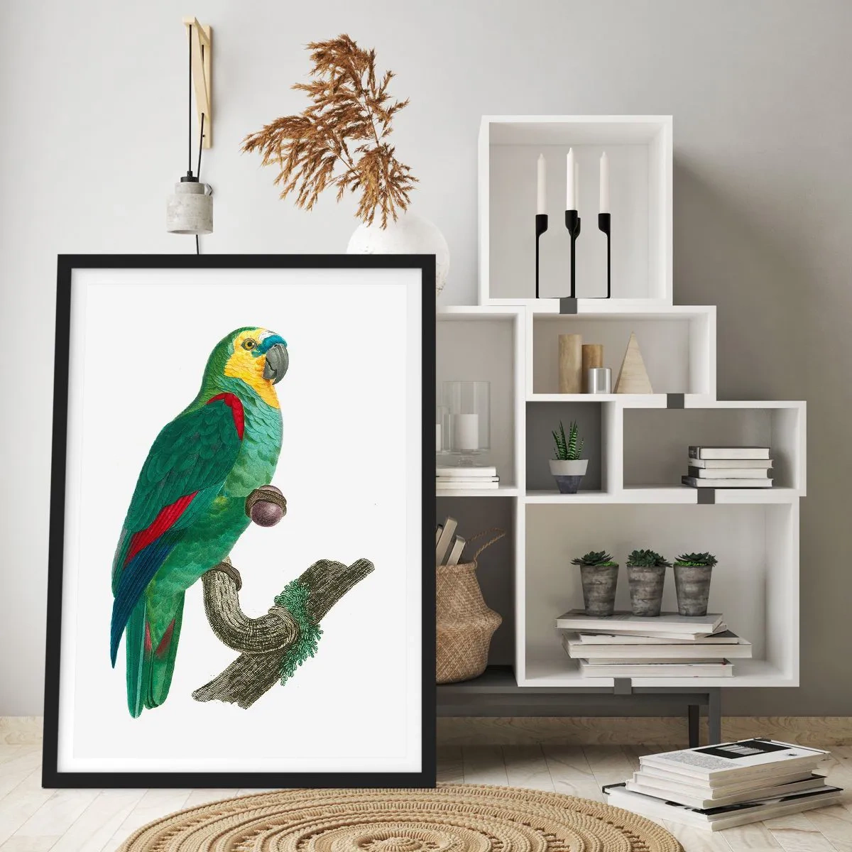 Poster in black frame - Parrot Portrait - 70x100 cm