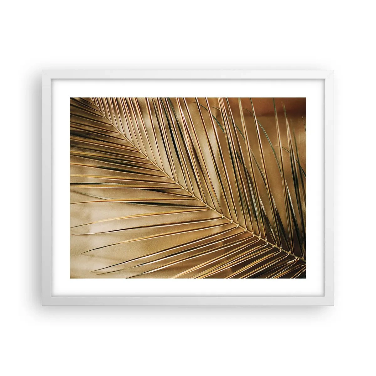 Poster in white frmae - Natural Colonnade - 50x40 cm