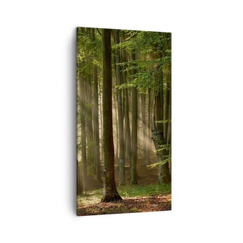 Canvas picture - Beaming in Spring Morning - 45x80 cm
