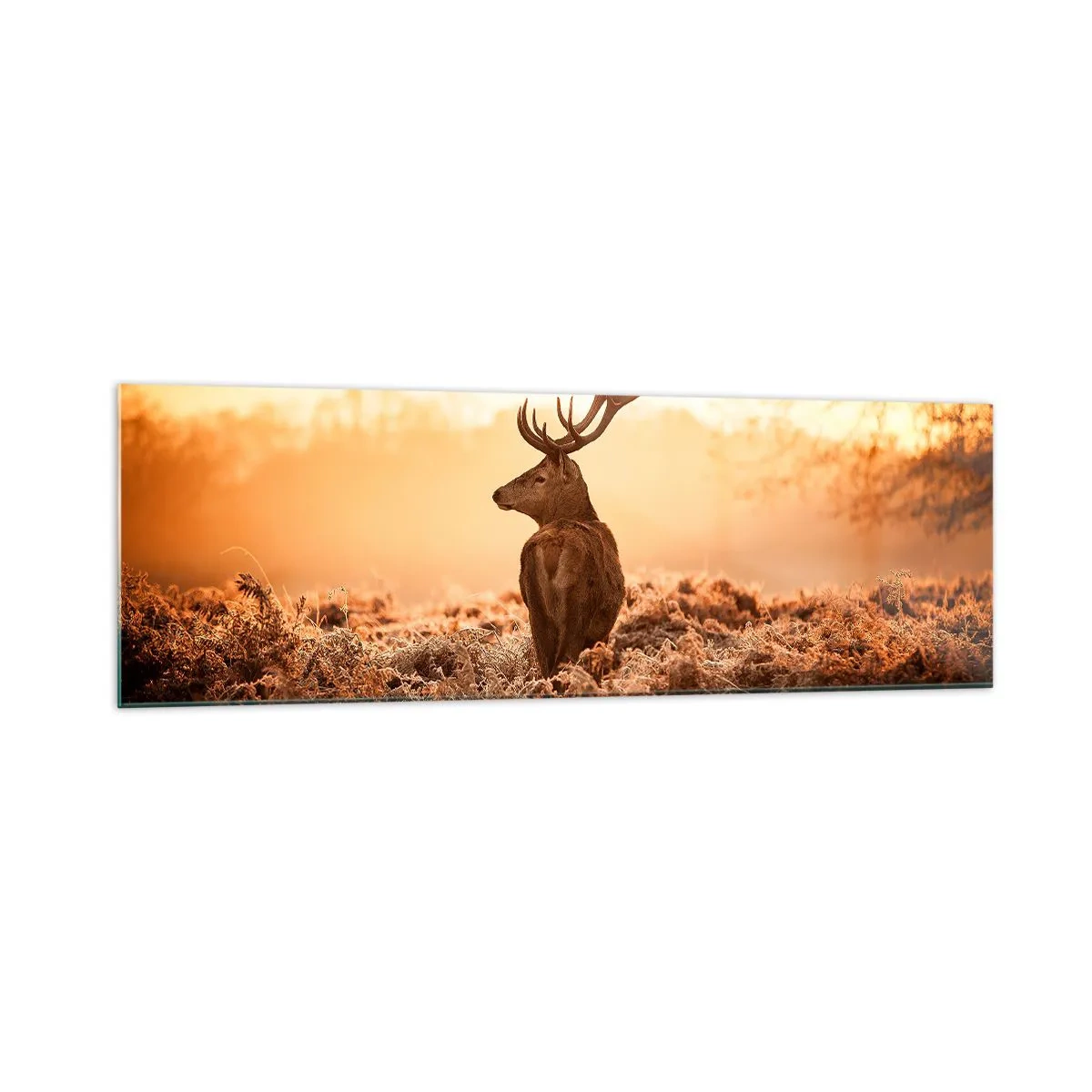 Glass picture - Master of the Moor - 160x50 cm