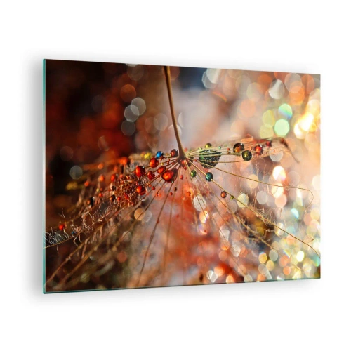 Glass picture - Water drops on a delicate spiderweb in bokeh light - 70x50cm - Strung on a Spider's Web - Modern wall decoration for the living room and bedroom ARTTOR