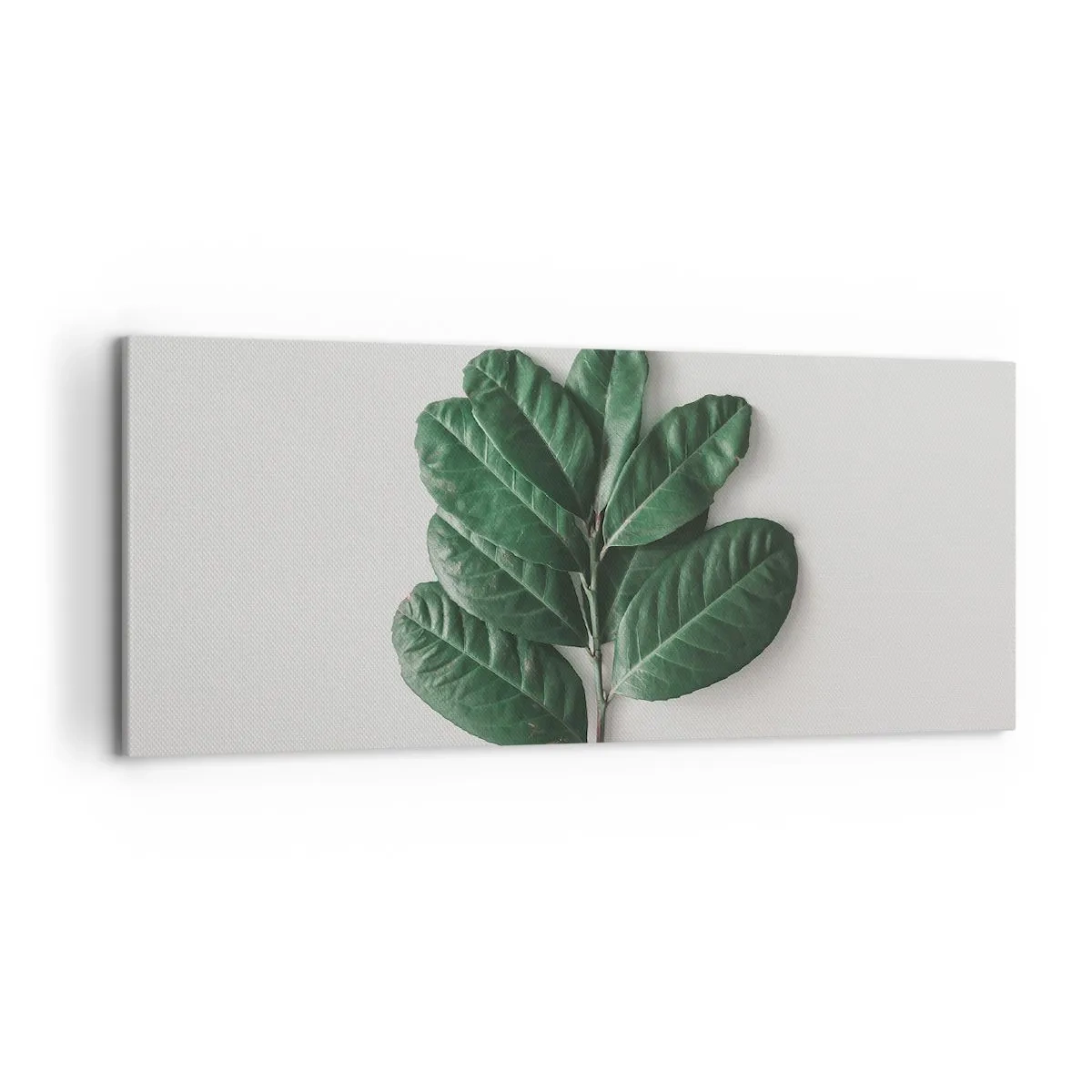 Canvas picture - Drawing of Nature Itself - 120x50 cm