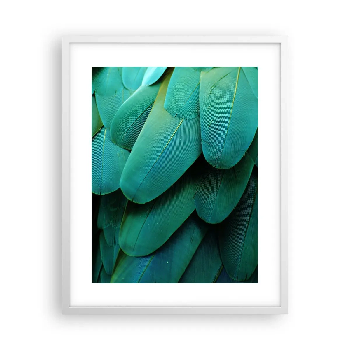 Poster in white frmae - Precision of Parrot Nature - 40x50 cm