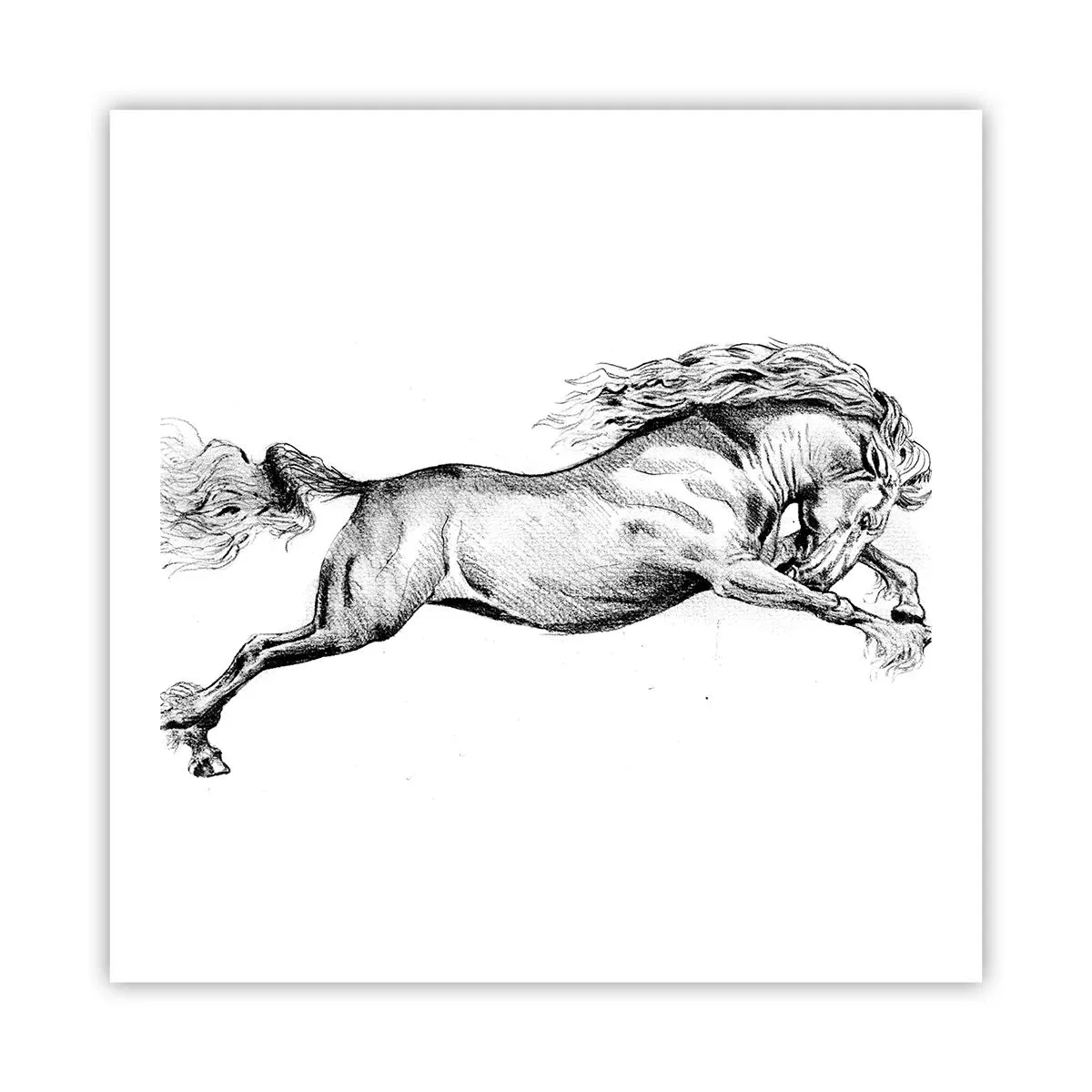 Poster - Stopped at a Gallop - 60x60 cm