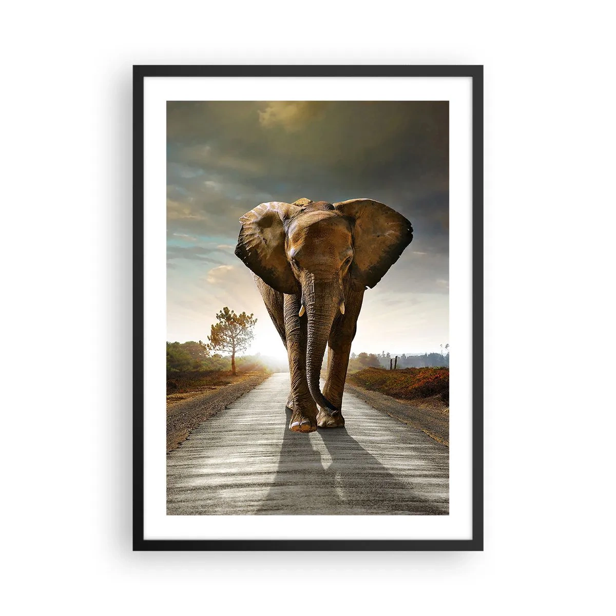 Poster in black frame - An elephant walking along the road at sunset - 50x70cm - Not in a China Shop - Modern wall decoration for the living room and bedroom ARTTOR