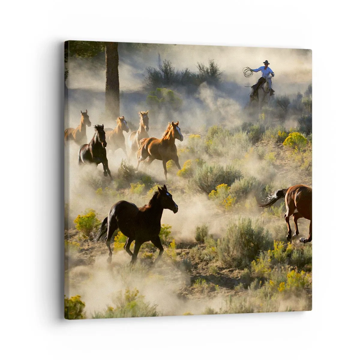 Canvas picture - Rivalry - Freedom or Man Power? - 40x40 cm