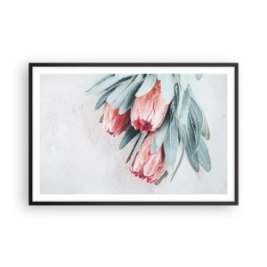 Poster in black frame - Ashamed of Their Own Beauty - 91x61 cm