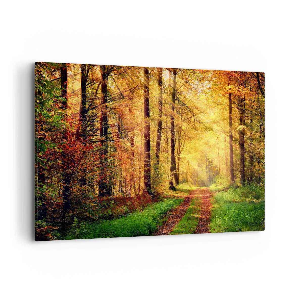 Canvas picture - Forest Golden silence - 120x80 cm