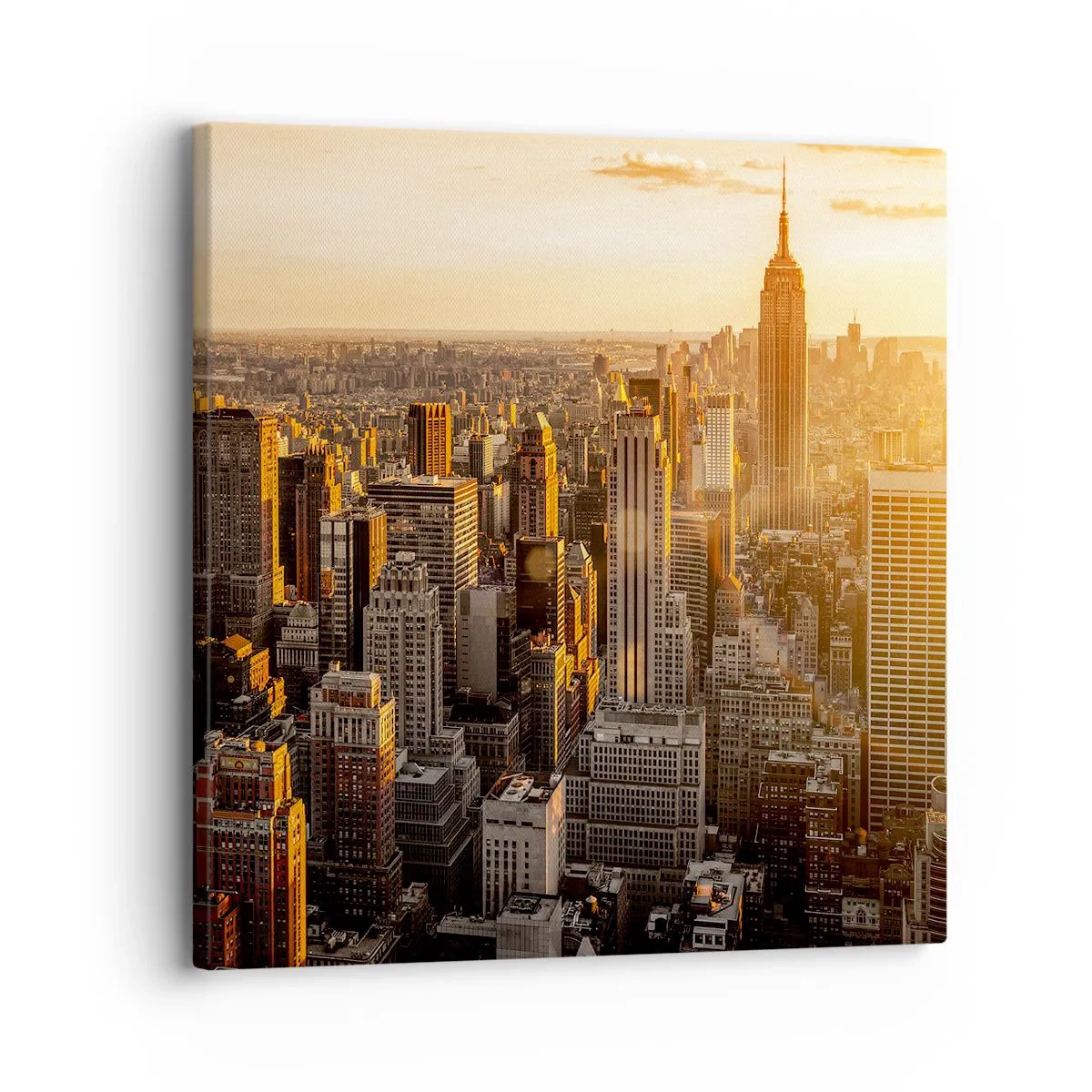 Canvas picture - Growing in the Sun - 30x30 cm